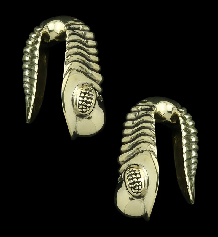 Best hoop earrings with geometric pendants for a modern, chic appeal-Trilobite Fossil Brass Ear Weights